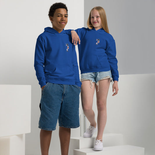 Urban Street Style Teen Pullover - Stay Cool and Stylish